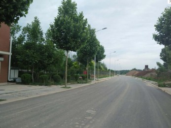 美陵路xk星空综合体育
